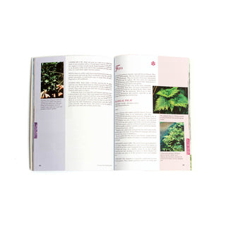 Growing Native Hawaiian Plants