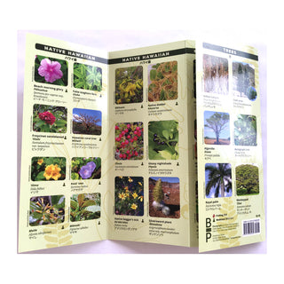 Plants of Hawaiʻi