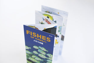 Fishes of Hawaii Pocket Guide