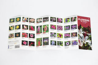 Flowers of Hawaii Pocket Guide