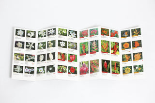 Flowers of Hawaii Pocket Guide