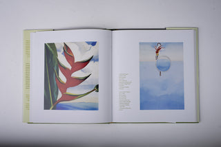 Georgia O’Keeffe's Hawaiʻi (pb)