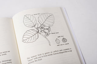 Plants of Old Hawaiʻi