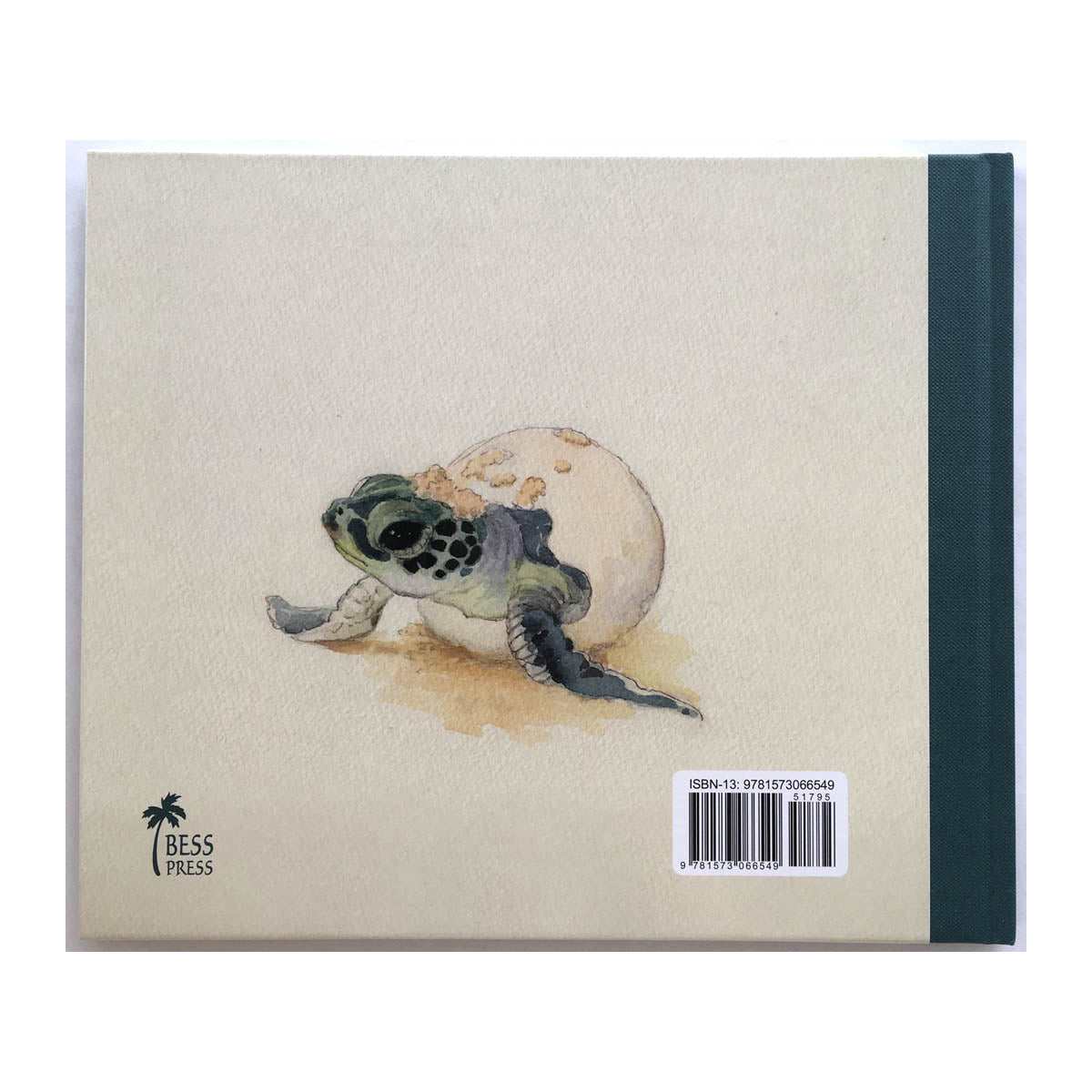 Honu 5690