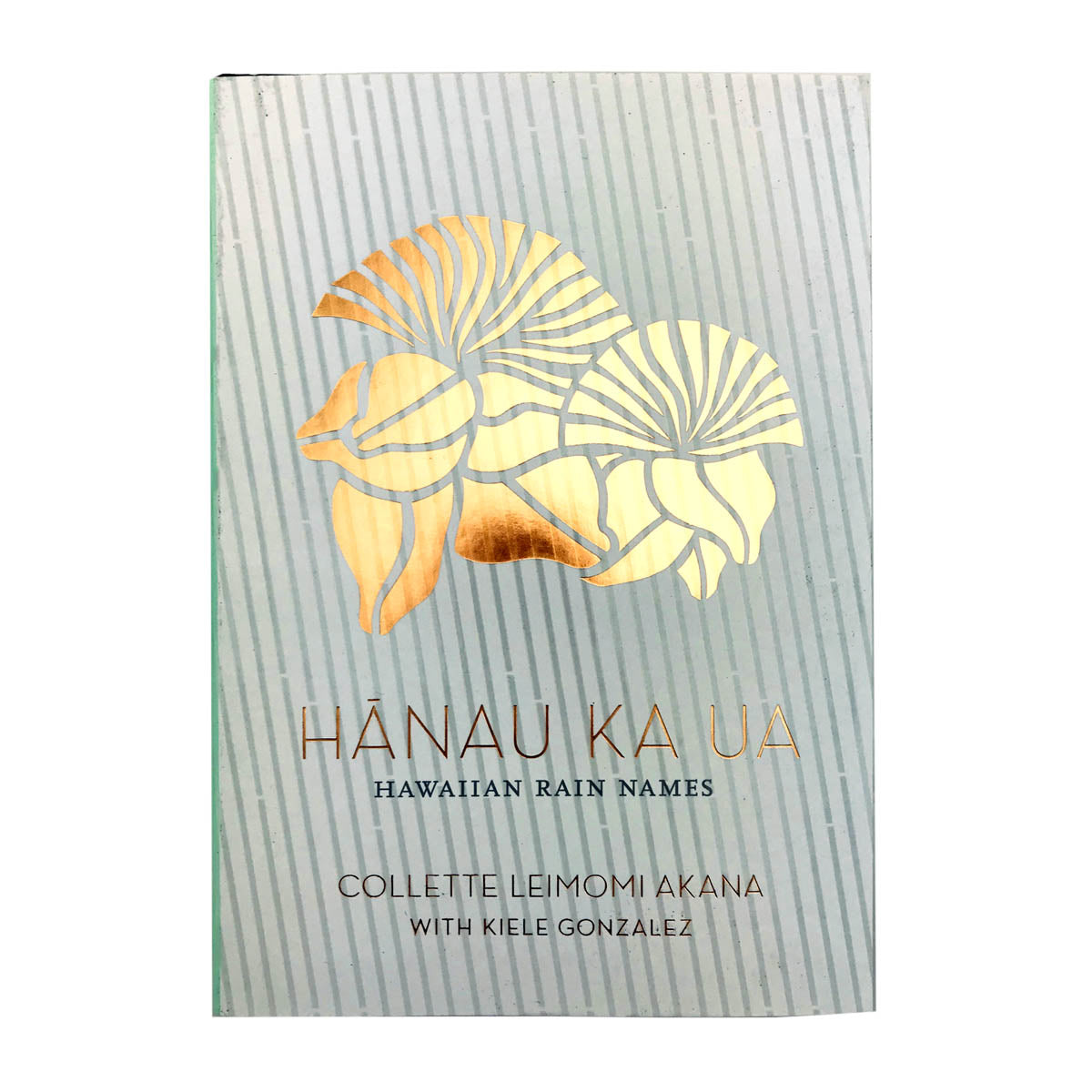 Hānau ka Ua / Hawaiian Rain Names