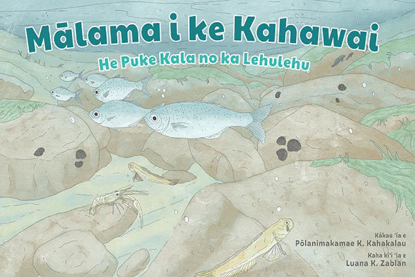 Take Care of the Stream / Mālama I Ke Kahawai (bilingual)