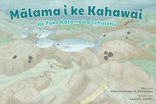 Take Care of the Stream / Mālama I Ke Kahawai (bilingual)