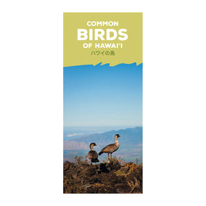 Common Birds of Hawaii Pocket Guide