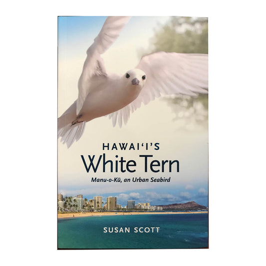 Hawaii's White Tern: Manu-o-Ku, an Urban Seabird