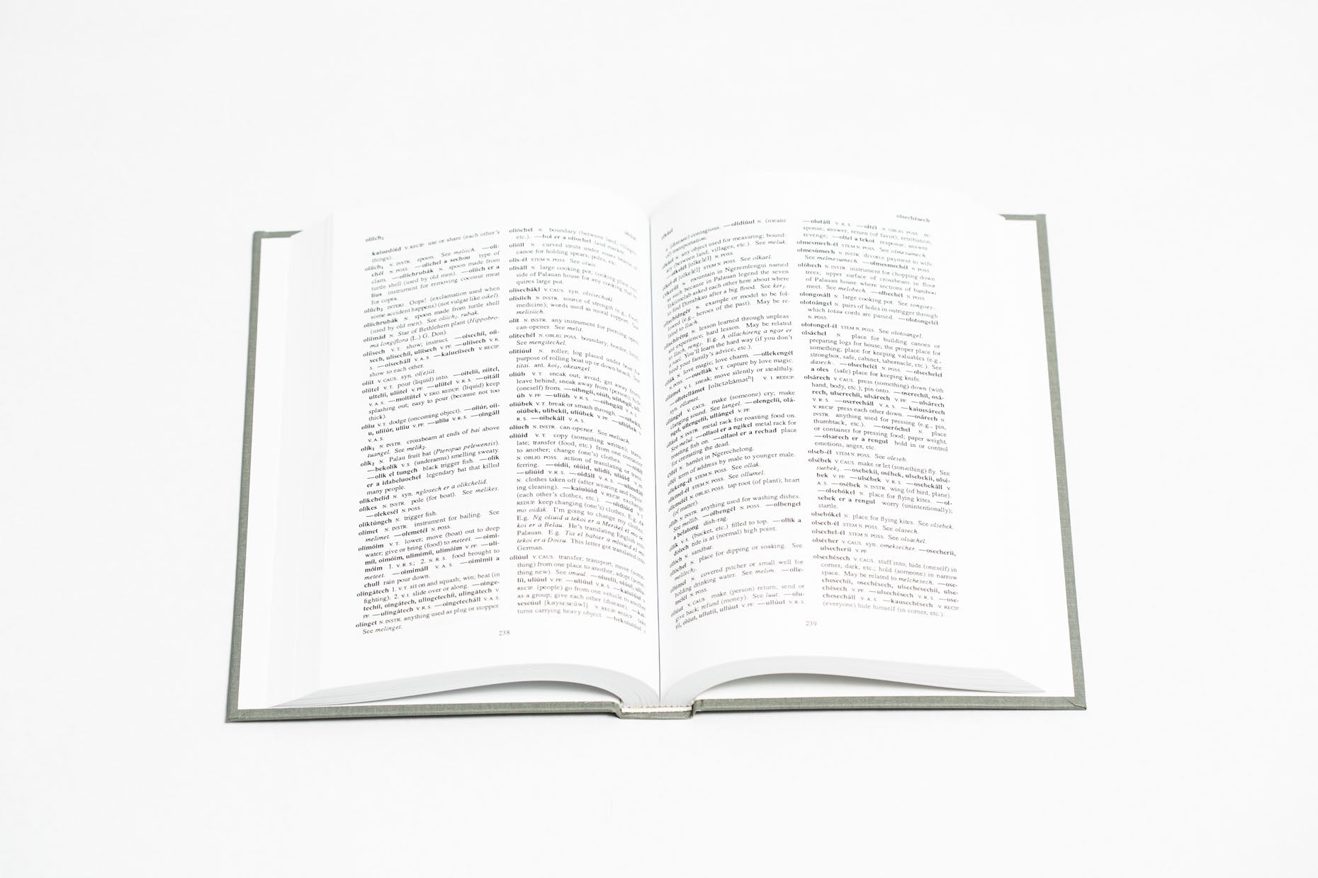 New Palauan-English dictionary New Palauan English Dictionary \u2013 Bess Press